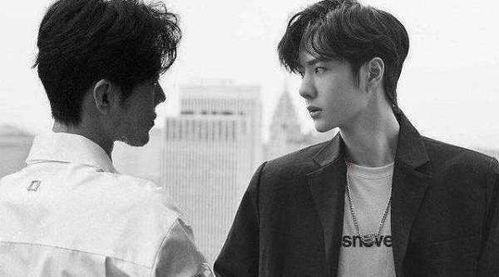 内部爆料肖战事件视频,揭秘事件真相与幕后黑幕  第1张